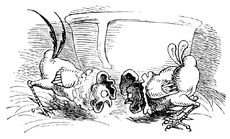 Hahnenkampf sw 05.jpg